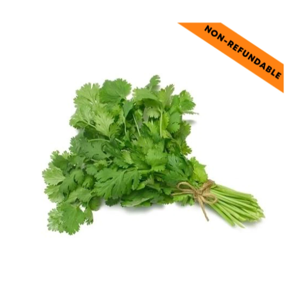Fresh Coriander