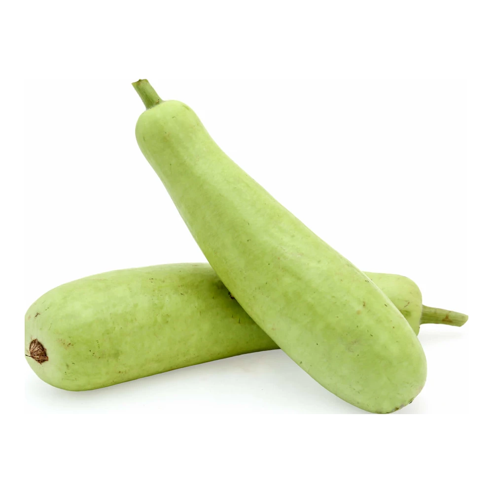 Fresh Lauki (Kaddu)