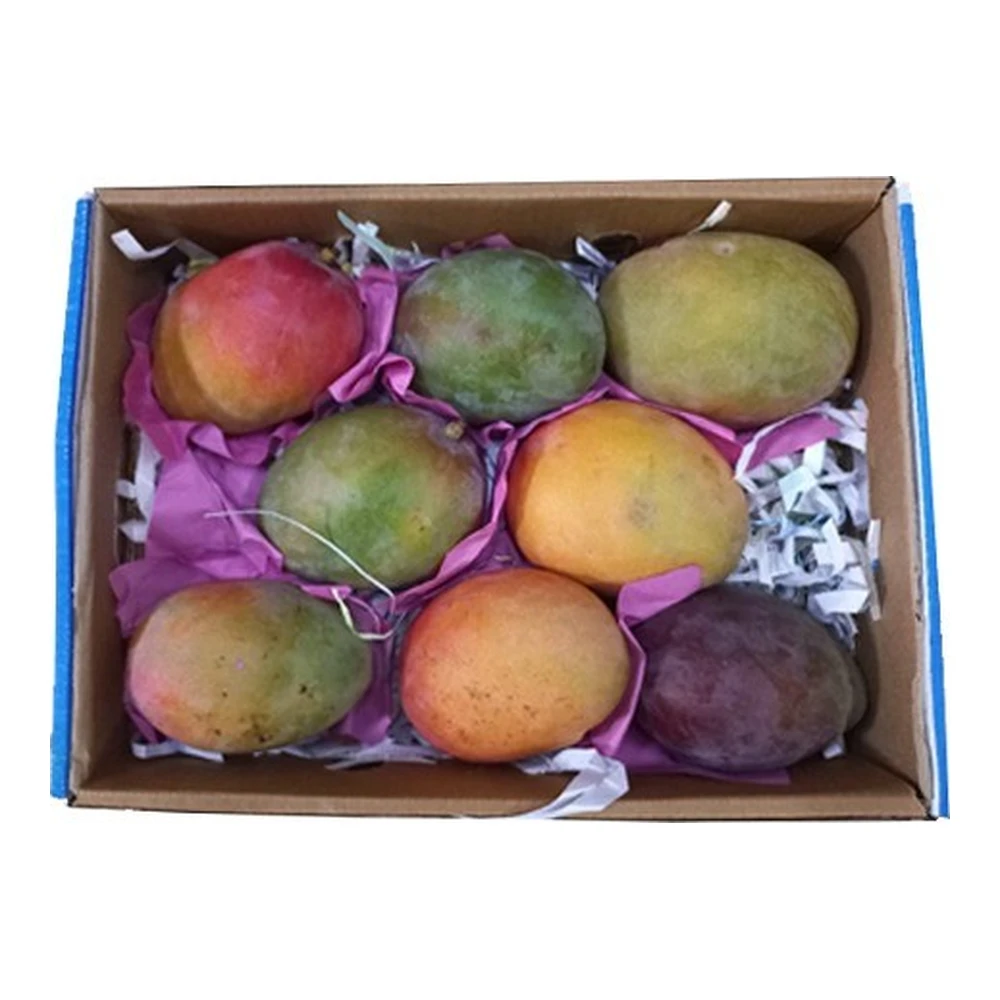 Fresh Mangos SmallBox