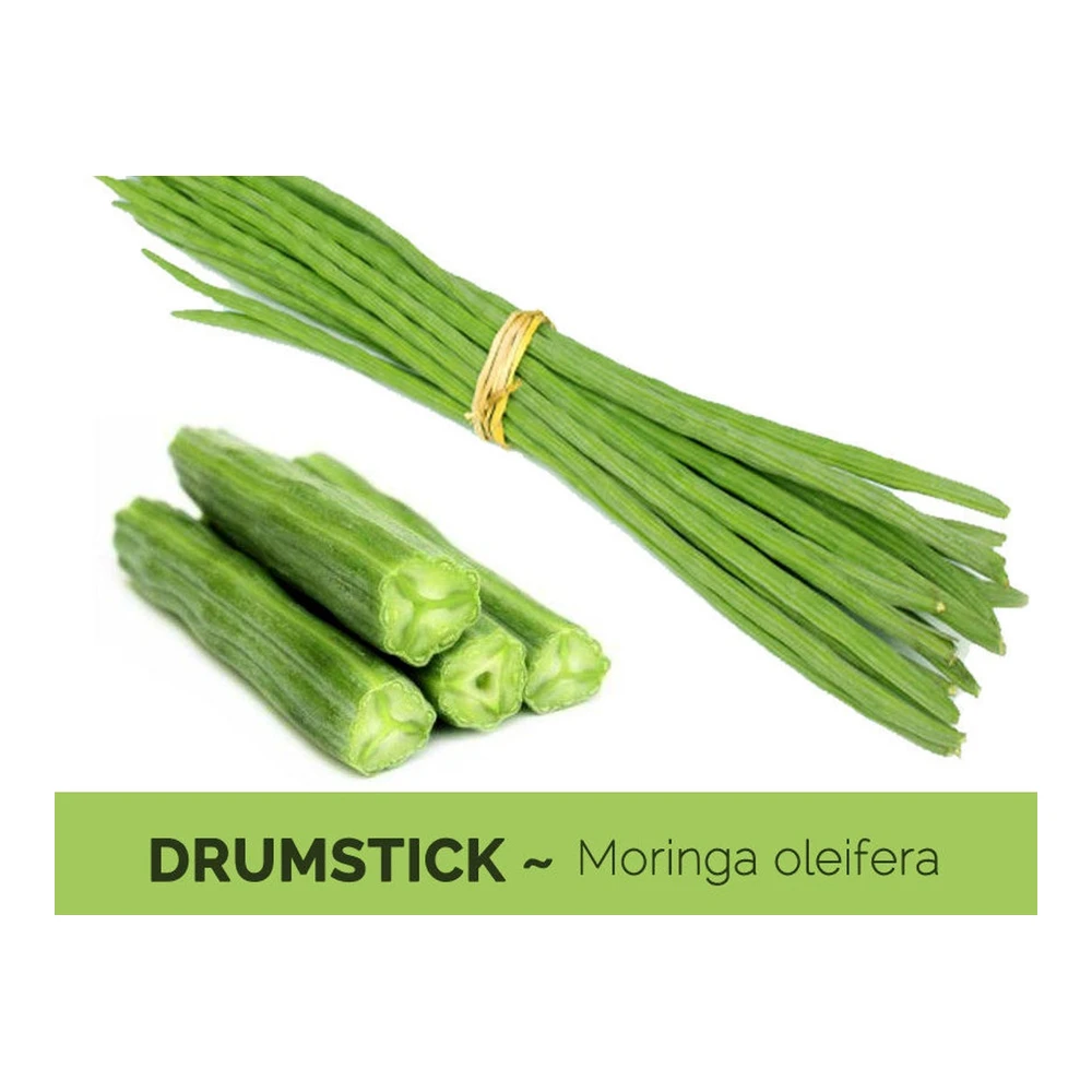 Fresh Moringa (Drum Stick)