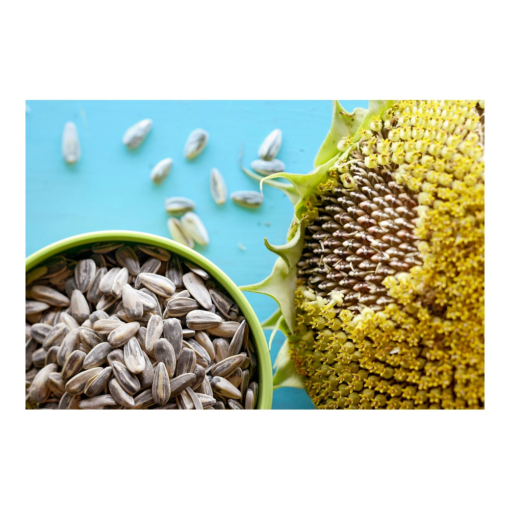 HEERA Sunflower Seeds