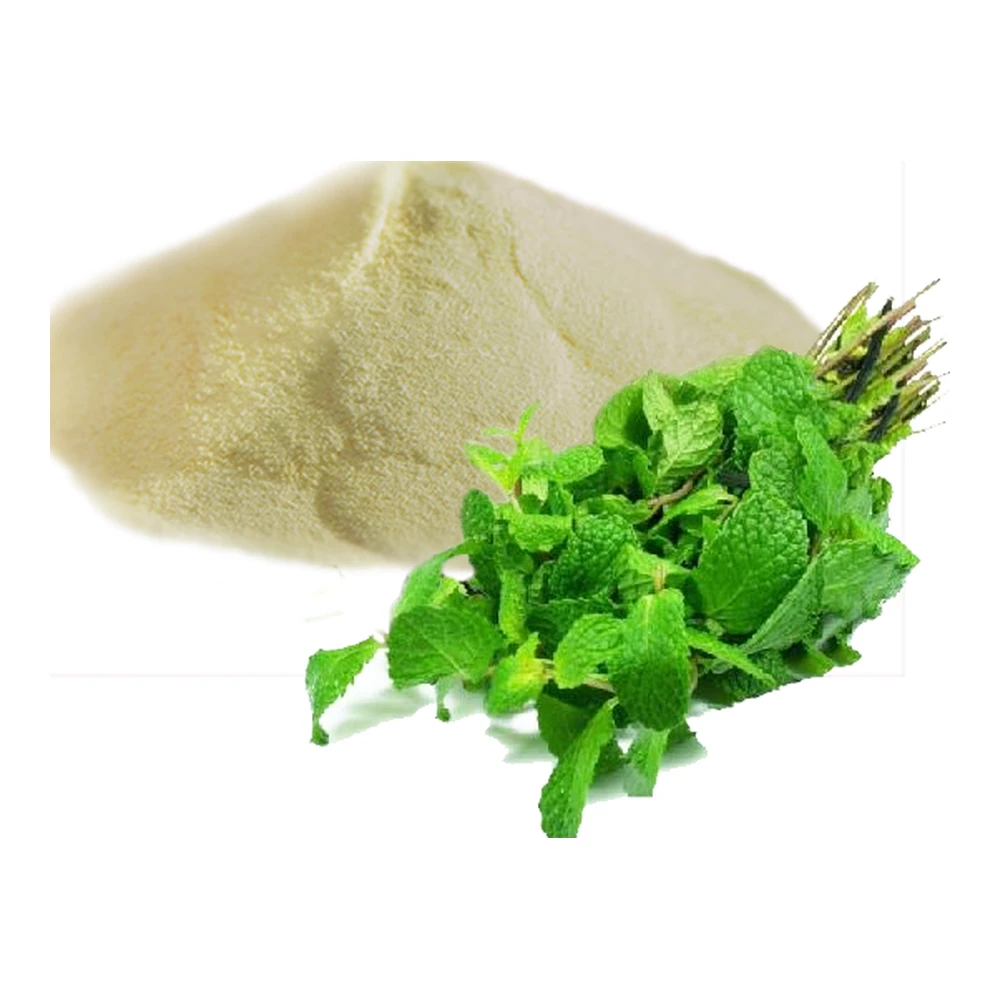 HIKMAT Mint Powder