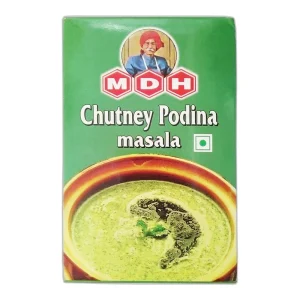 MDH Pudina Masala Chutney